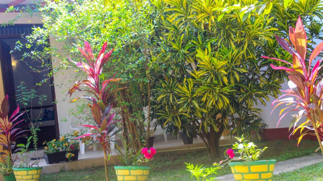 Lathika Homes シギリヤ エクステリア 写真